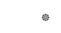 Logo for Dyad Wellness